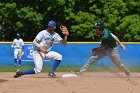 Baseball vs Babson  Wheaton College Baseball vs Babson during Championship game of the NEWMAC Championship hosted by Wheaton. - (Photo by Keith Nordstrom) : Wheaton, baseball, NEWMAC